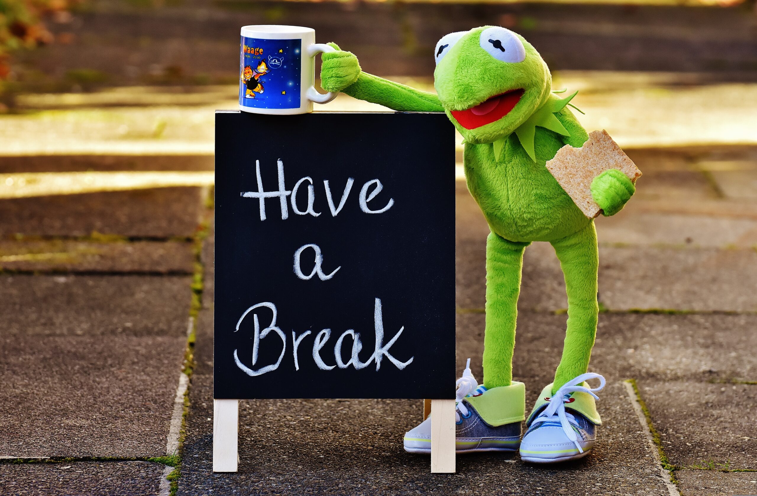 alexas fotos kermit